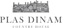 Plas Dinam logo with text